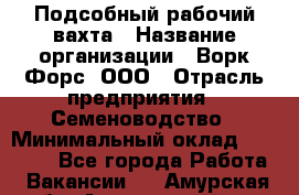 Подсобный рабочий вахта › Название организации ­ Ворк Форс, ООО › Отрасль предприятия ­ Семеноводство › Минимальный оклад ­ 30 000 - Все города Работа » Вакансии   . Амурская обл.,Архаринский р-н